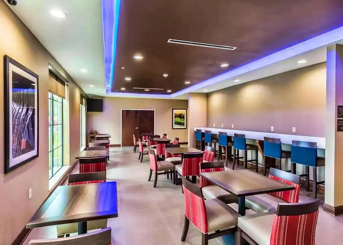 Comfort Suites Houston I45 North