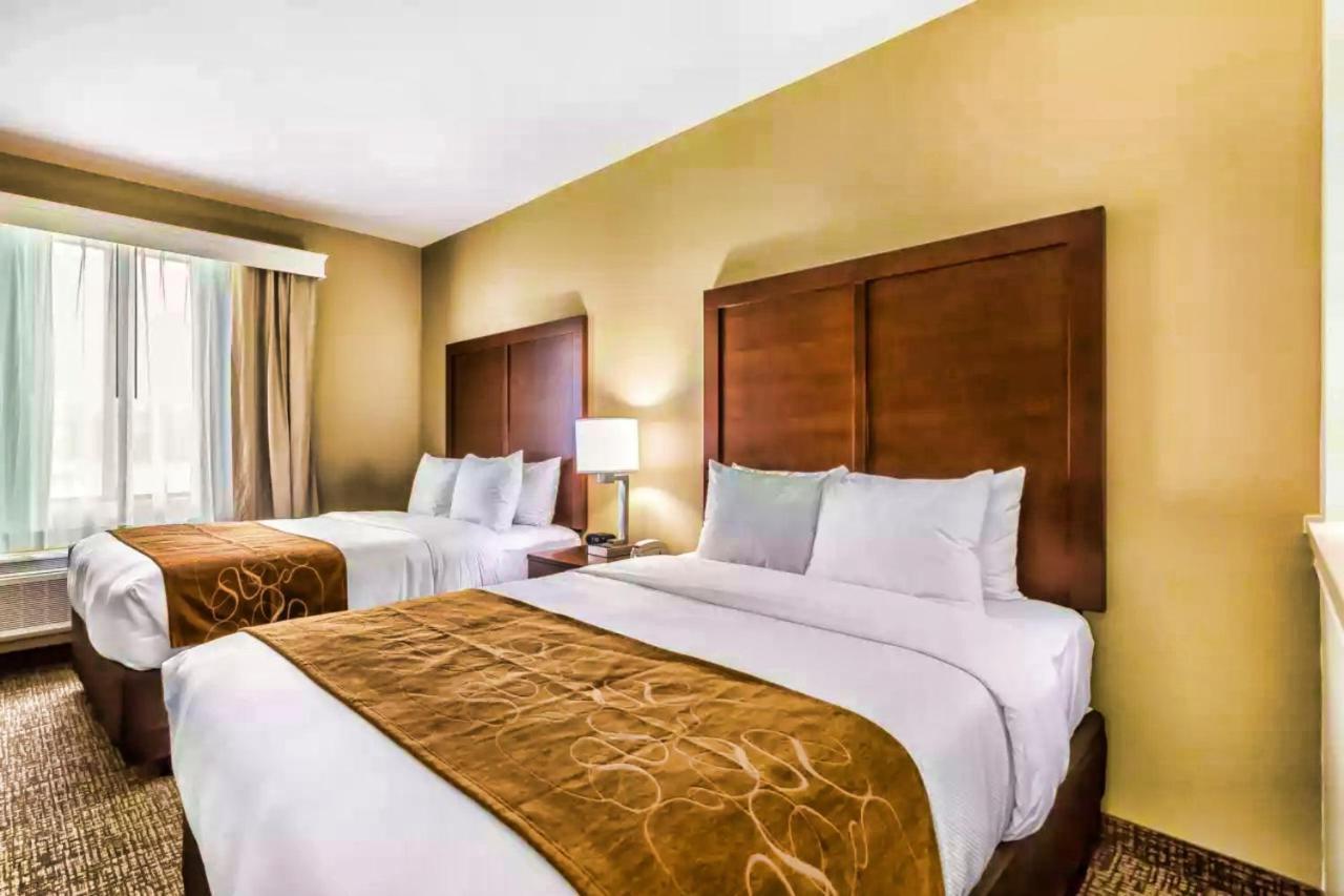 Comfort Houston I45 North Hotel