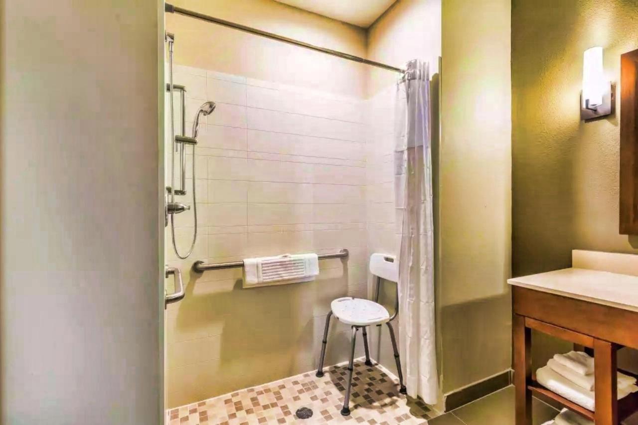 Hotel Comfort Houston I45 North